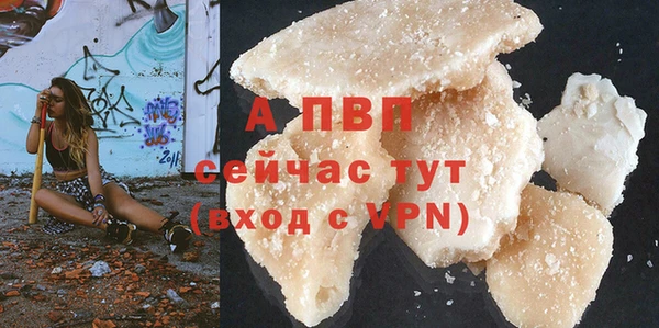 шишки Новодвинск