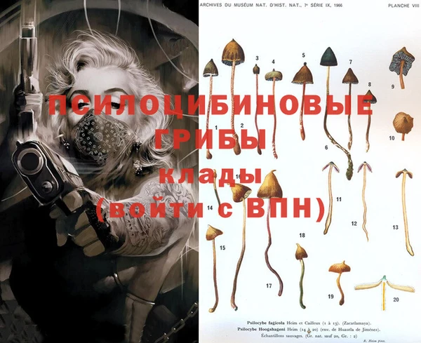 MESCALINE Алексеевка