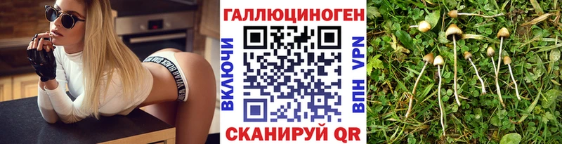 Купить Великий Устюг Псилоцибиновые грибы мухоморы